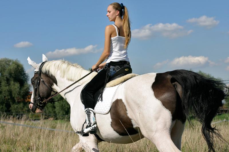 Want The Best Bra For Horse Riding. Find Out Here