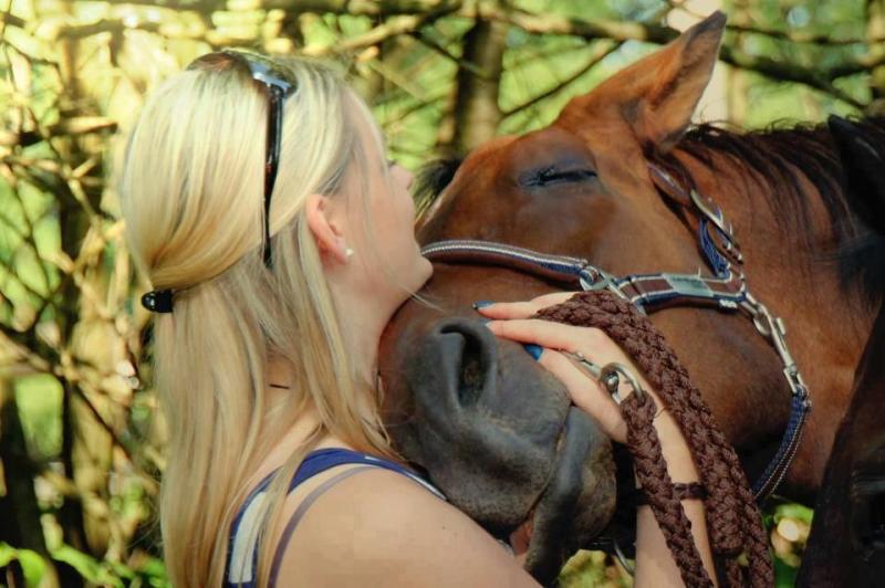 Want The Best Bra For Horse Riding. Find Out Here