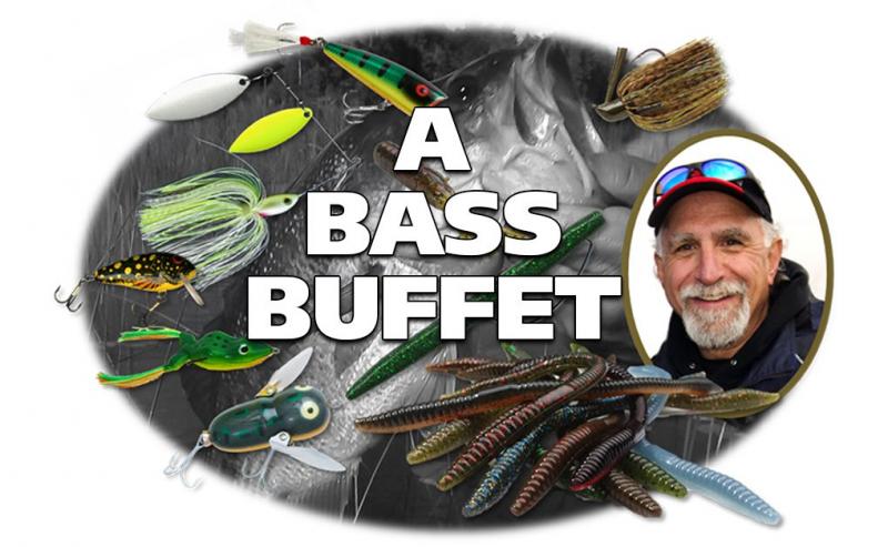 Want the Perfect Vibe for Summer Fishing. Here