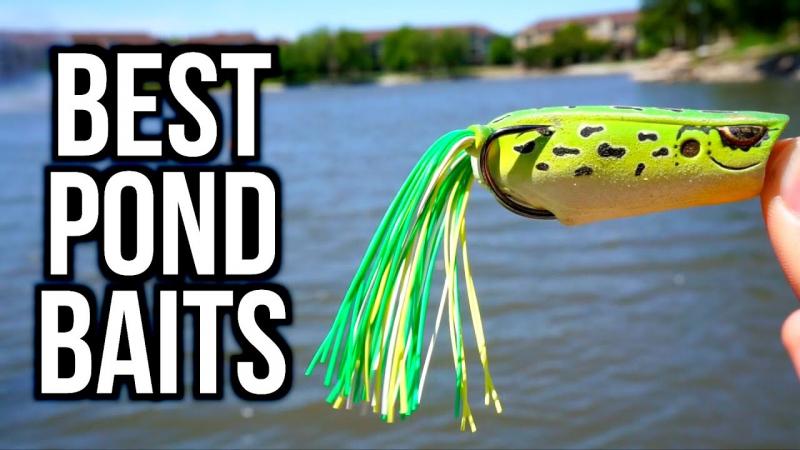 Want the Perfect Vibe for Summer Fishing. Here