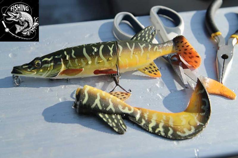 Want the Perfect Vibe for Summer Fishing. Here