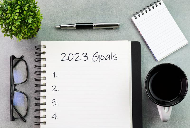 Want to Stick to Your Lacrosse Goals This Year: 10 Steps to Up Your Game