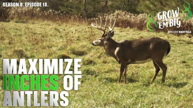 Want To Take Your Deer Hunting To The Next Level. 15 Amazing Double Tree Stand With Blind Features You Need