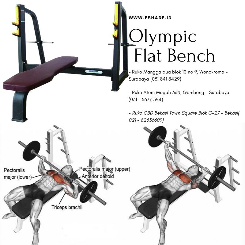 Want To Upgrade Your Home Gym With A New Bench Press. Get Bench Press Set Buying Guide