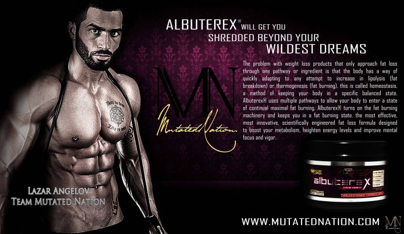 Warrior Burn 2 Max Fat Burner Review and Analysis