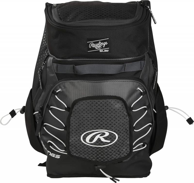 What Are The 15 Best Fastpitch Softball Bags To Buy This Year