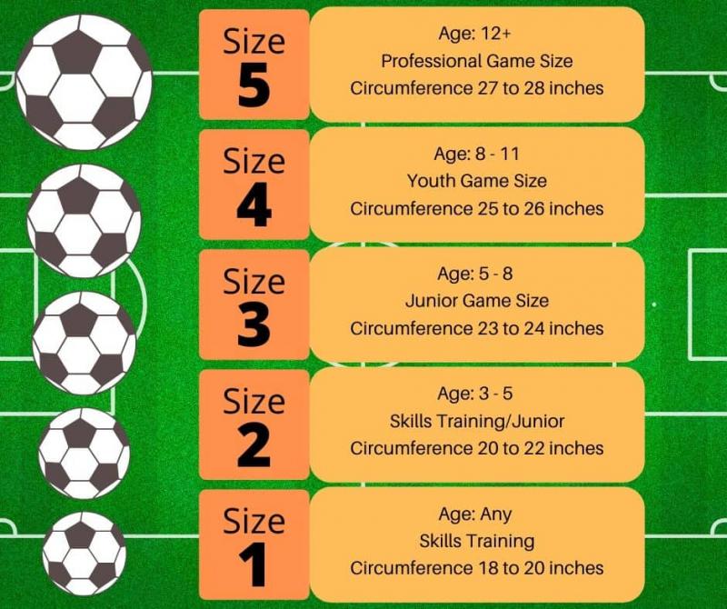 What is the most common standard soccer ball size