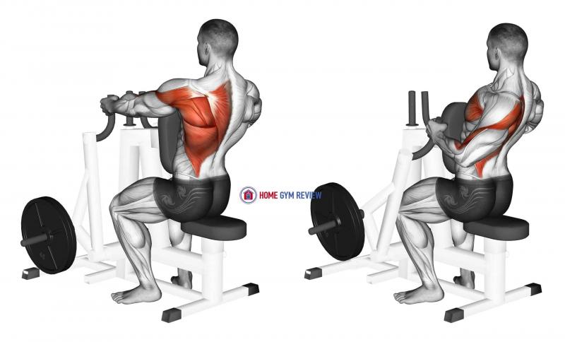 What Surprising Benefits Does Using Weider Weights Have. Plates to Build Strength