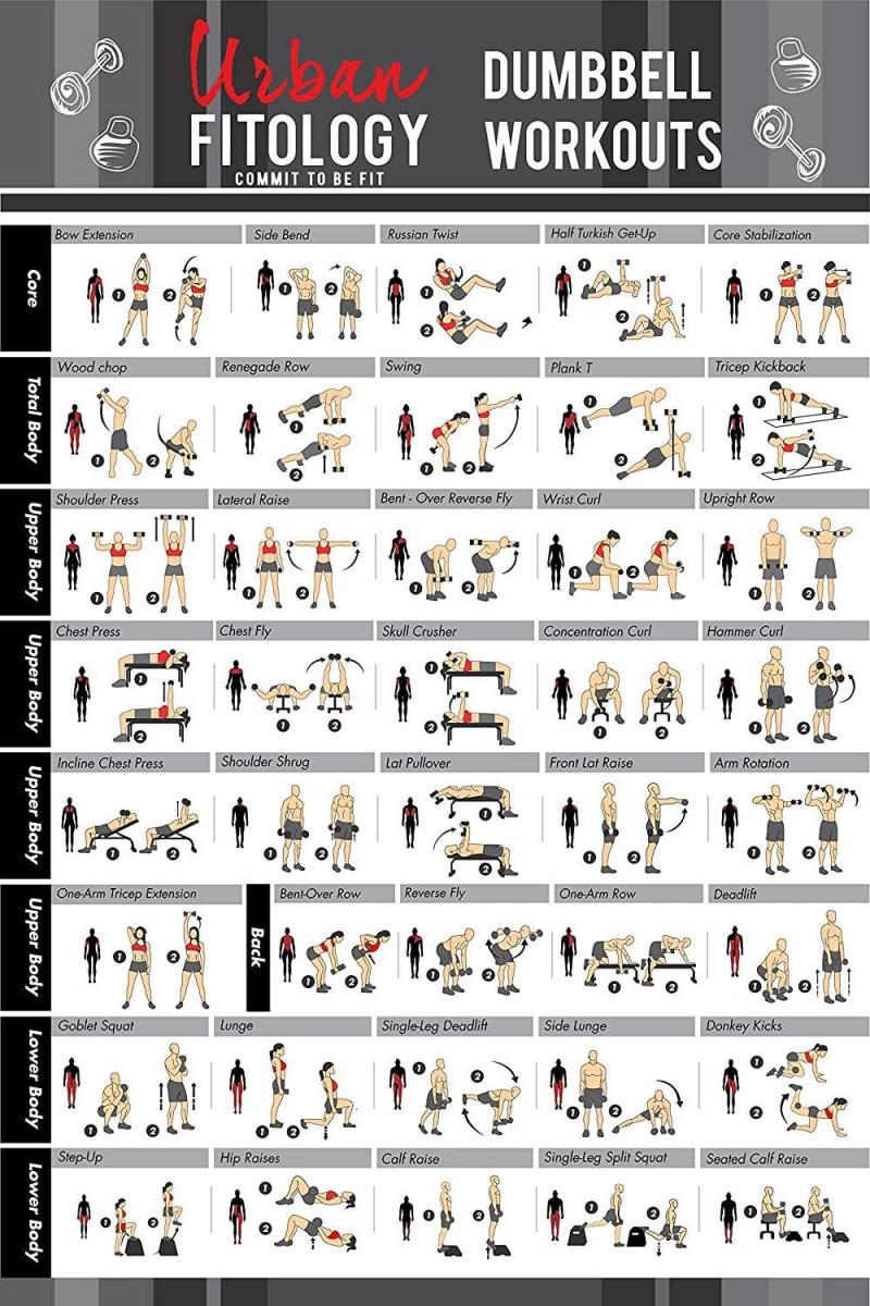 What Surprising Benefits Does Using Weider Weights Have. Plates to Build Strength