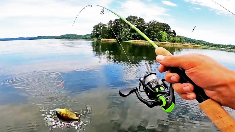 Where Are the Best Places to Buy Fishing Rods: Grab Your Pole and Get Ready for the Fishin