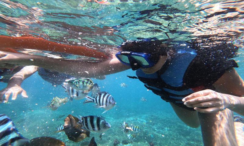 Where Can I Find The Best Snorkeling Gear This Year: A 2-Part Guide To Buying Quality Snorkeling Equipment
