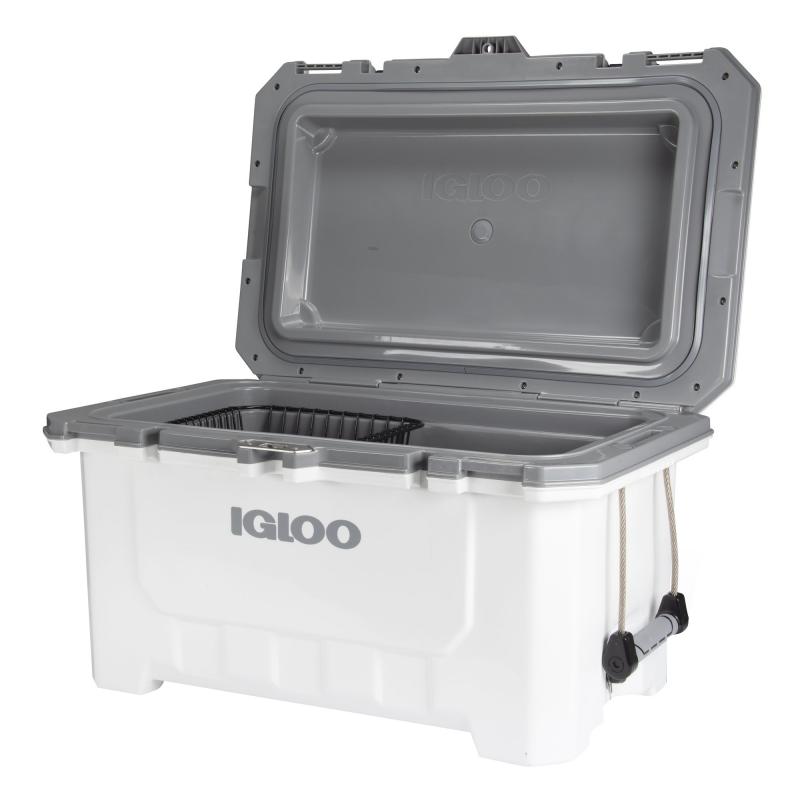 Where to Find Igloo Coolers Near You: The Top 15 Retailers