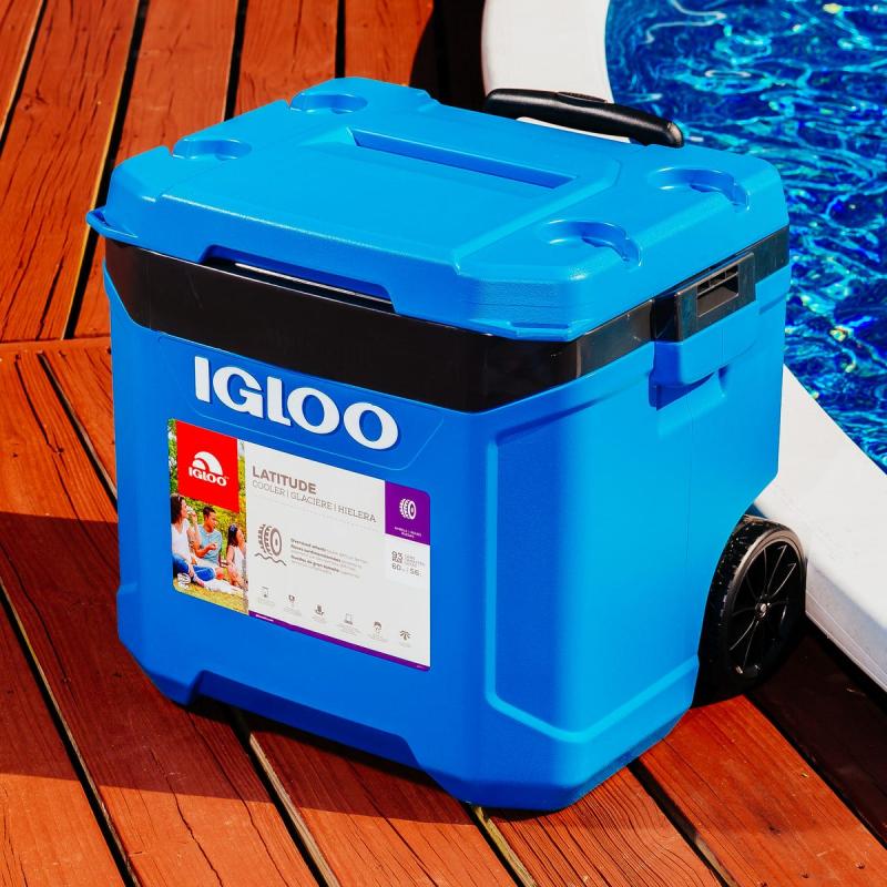 Where to Find Igloo Coolers Near You: The Top 15 Retailers