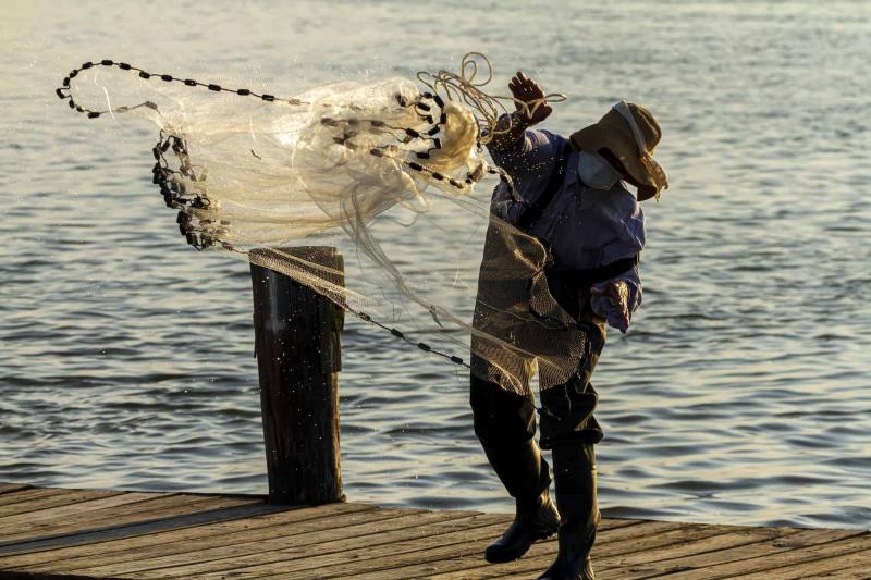 Where to Find Quality Fishing Nets This Season: 15 Must-Know Tips for Landing the Perfect Cast Net