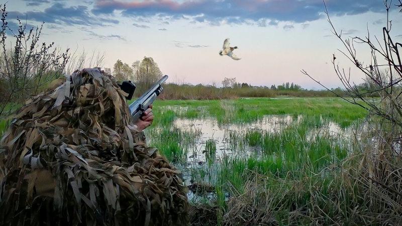 Where to Find the Best Decoys for Serious Duck Hunters