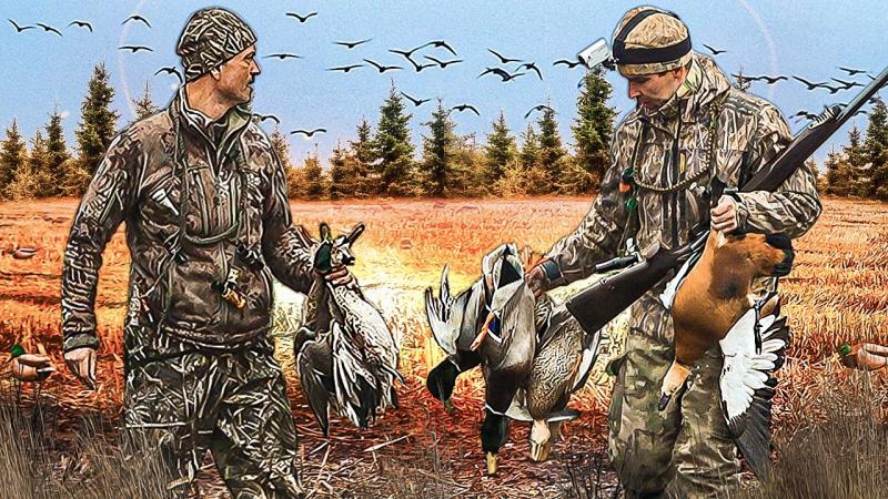 Where to Find the Best Decoys for Serious Duck Hunters