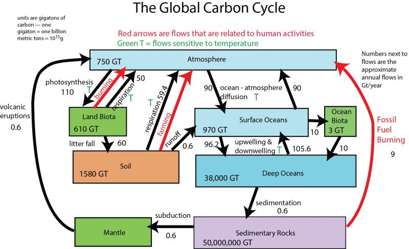 Why Ecd Carbon Mtx is a Game Changing Technology