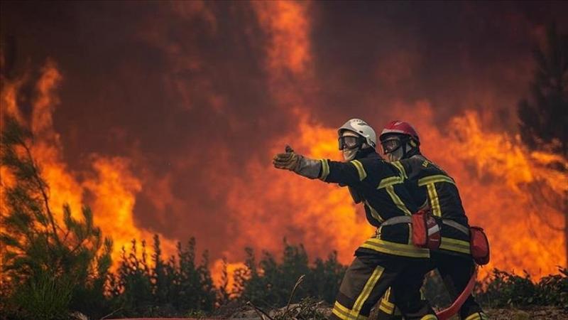 Will firefighters be replaced: The surprising future of fire services in Los Angeles
