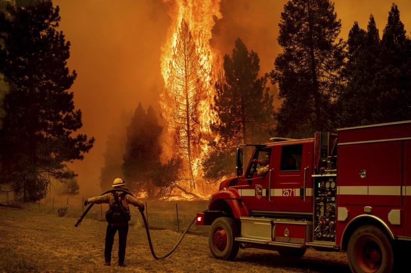 Will firefighters be replaced: The surprising future of fire services in Los Angeles