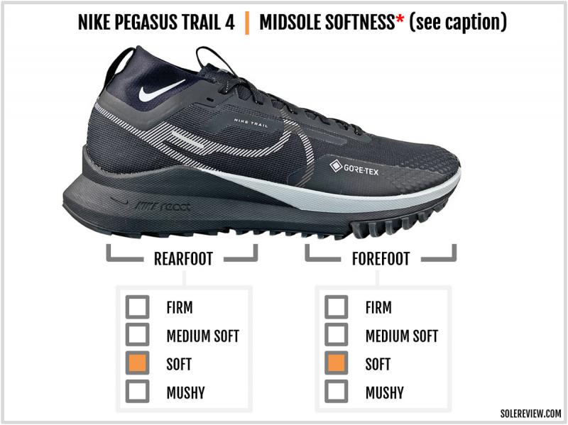 Will the Nike Gore Tex Pegasus Trail Stay Dry This Winter. 🤔: 14 Engaging Facts About the Popular Waterproof Hiking Shoe