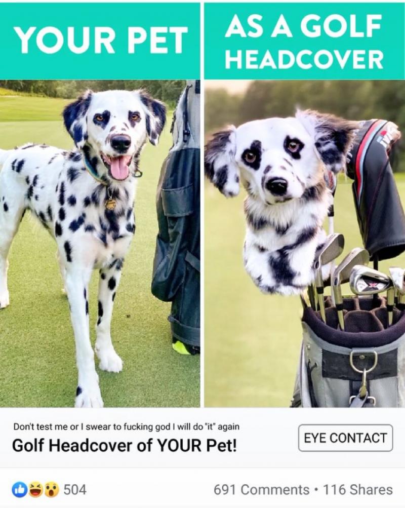 Will This Cute Pup Protect Your Clubs. : Why Goldendoodle Golf Headcovers Are Taking Over The Links