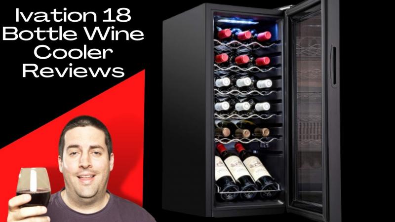 Your Complete Guide: How To Perfectly Monitor Your Wine Cellar In 2023